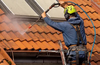 Démoussage et hydrofuge de toiture à Château-Thébaud